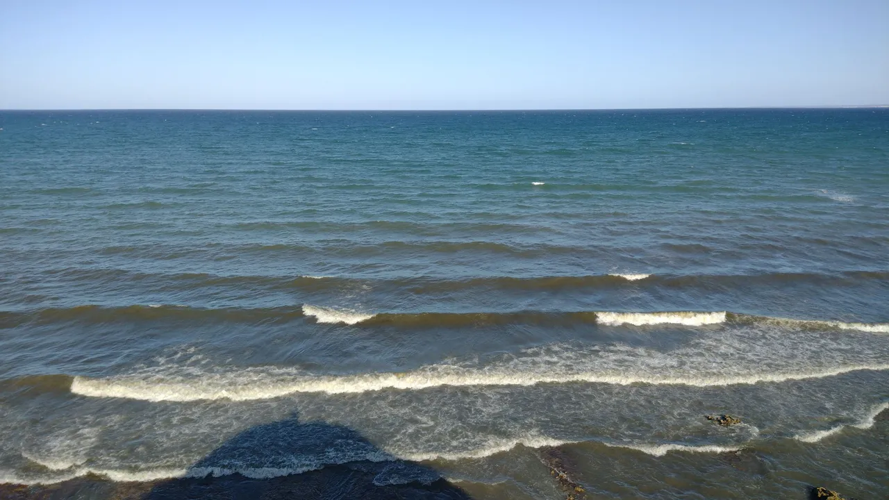 IMG_20221030_173758152.jpg