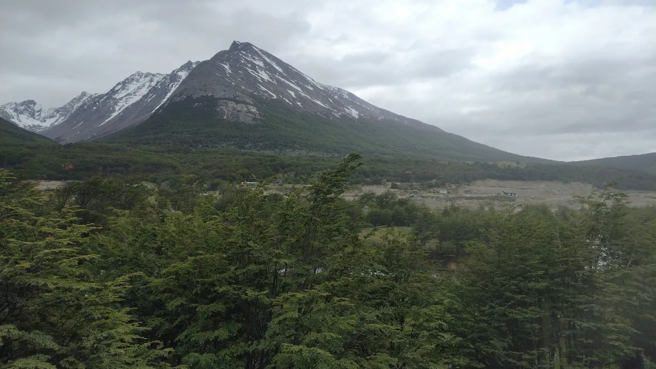 IMG_20231203_140918215.jpg