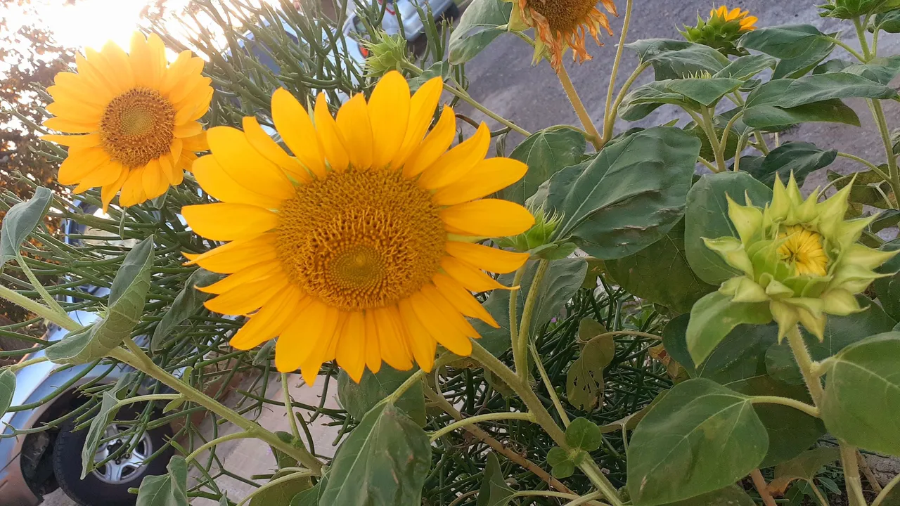 20230220_103926.jpg