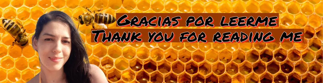 CC_Express_20220601_2256240.9982297827187486.png