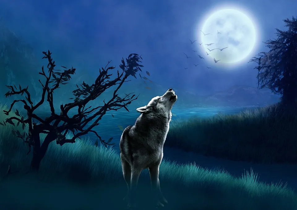 wolf-7296967_960_720.jpg