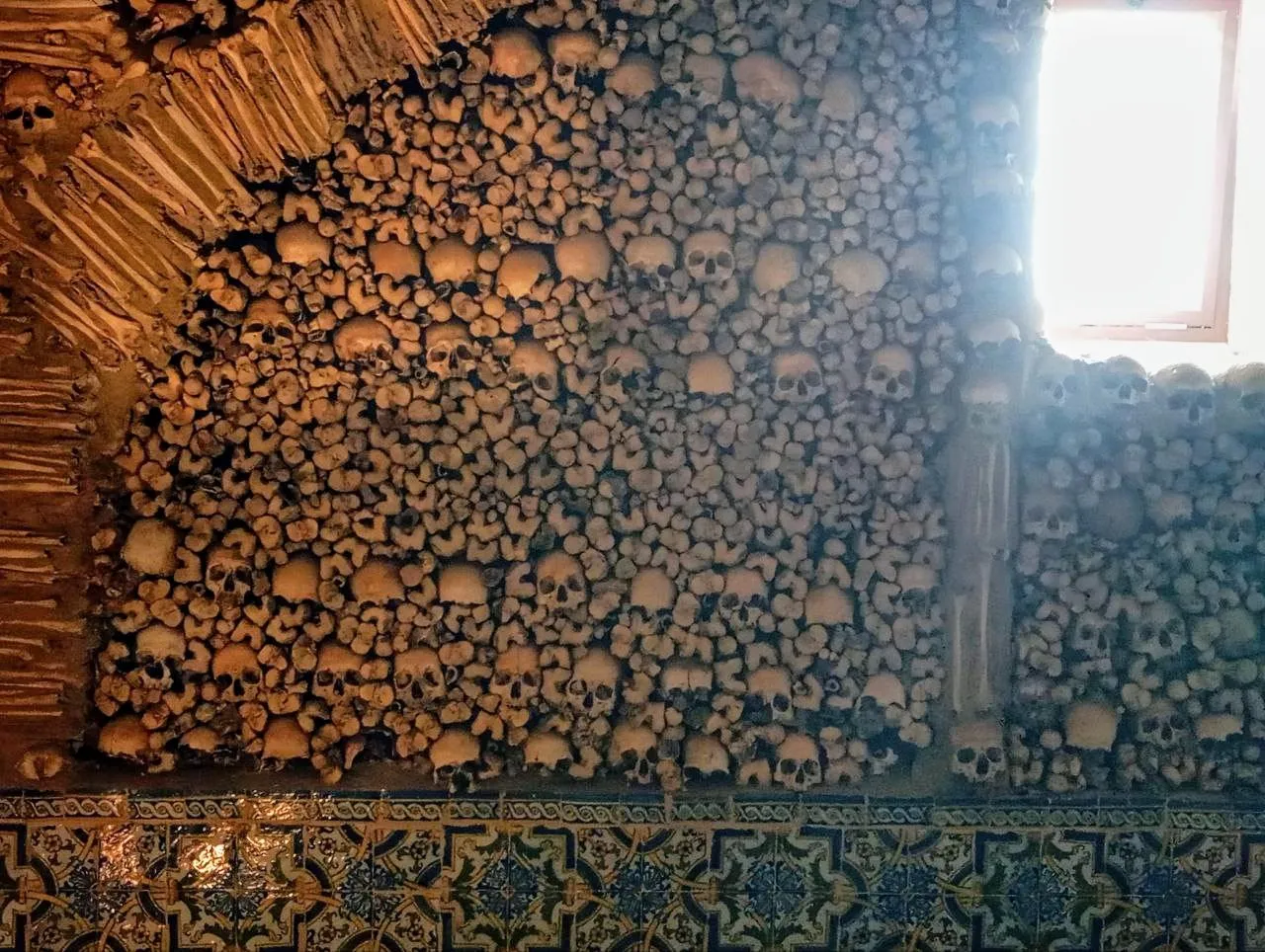 1000006093.jpg