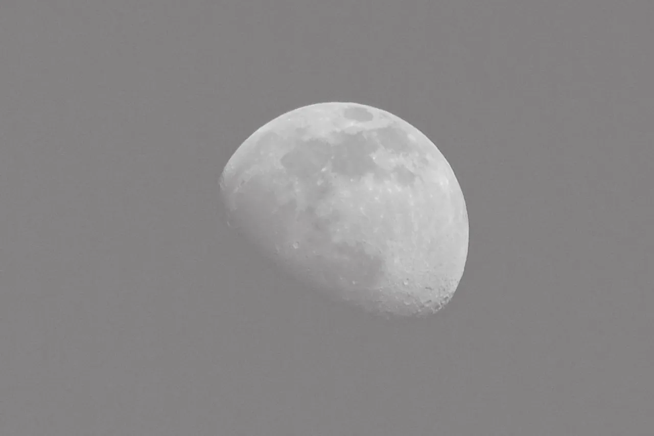 0002-DSCF4784.jpg