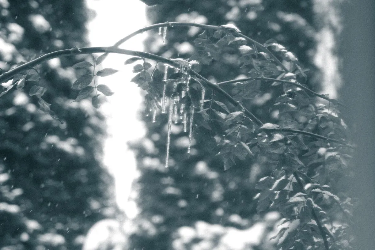 DSCF2226.jpg