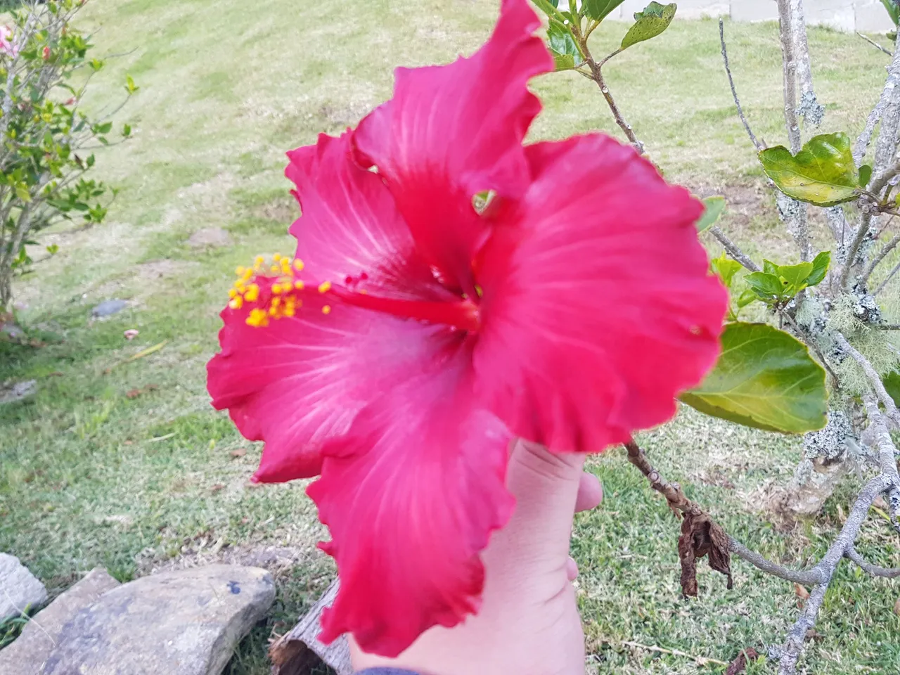 20220106_180425.jpg