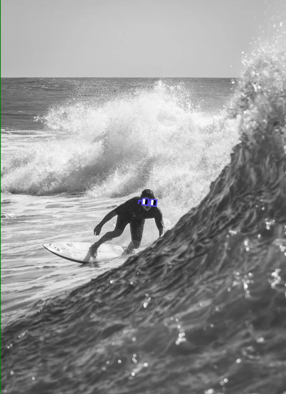 Baleia-gnars.jpg
