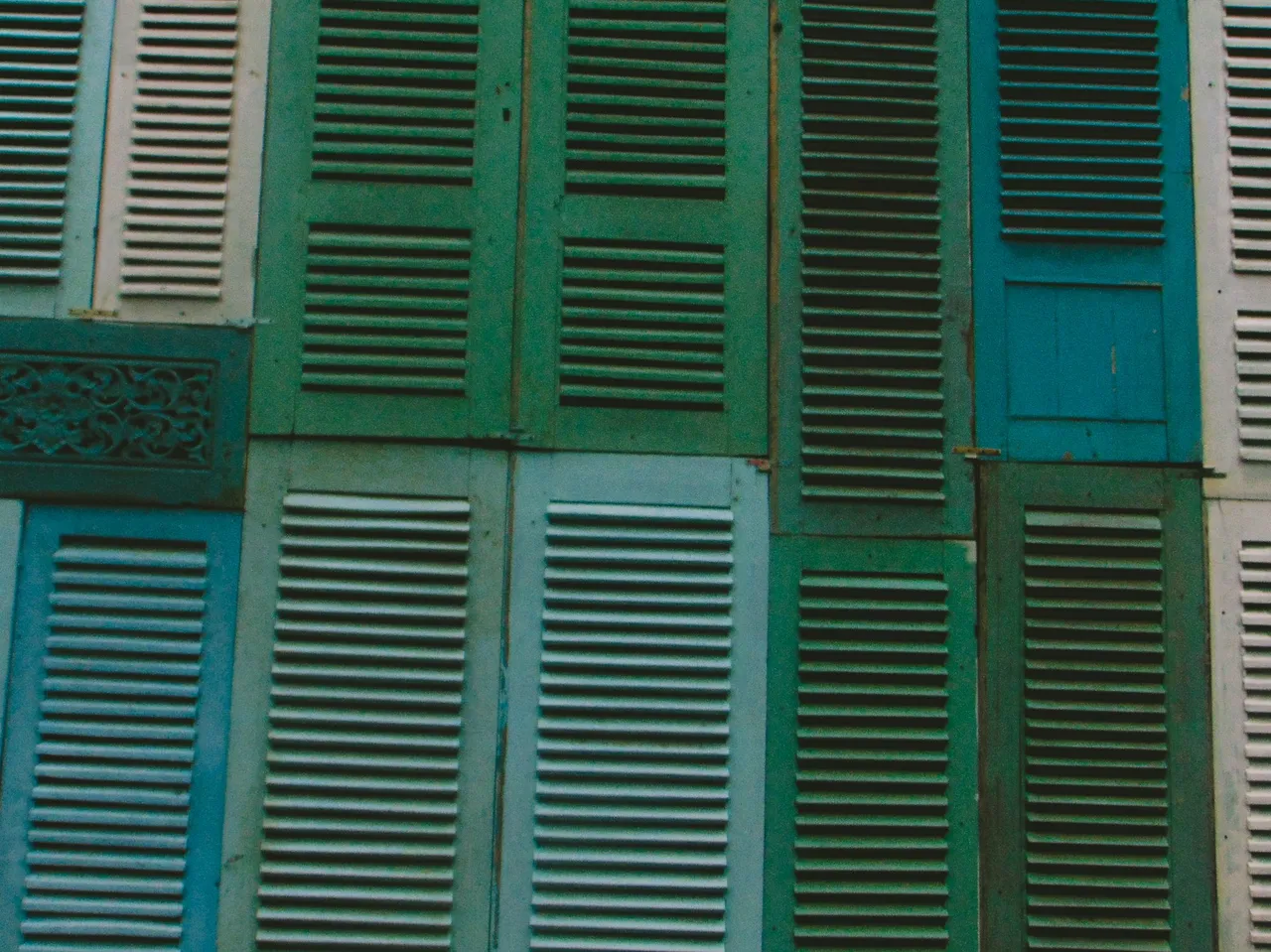 DSC01615_edited.jpg