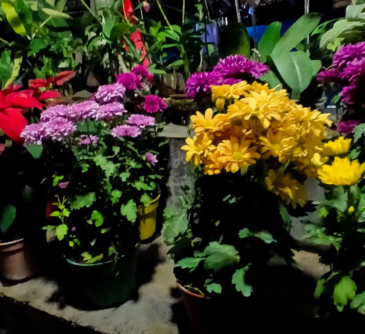 20250812_194023.jpg