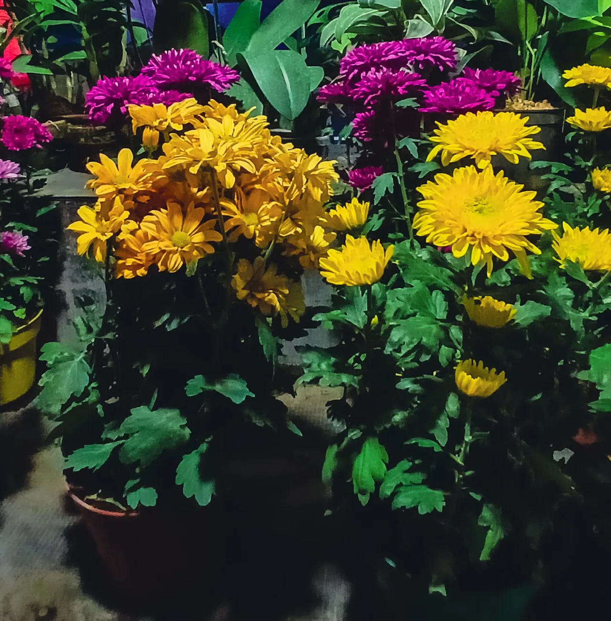 20250812_194021.jpg