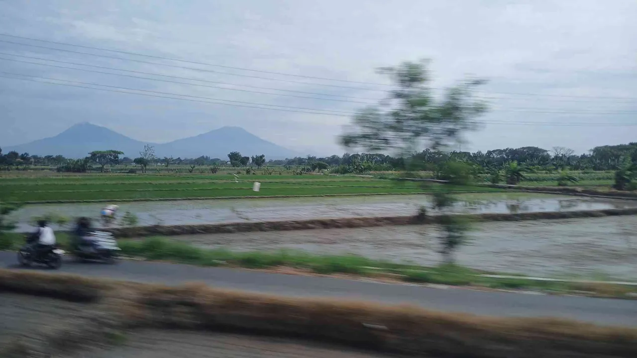 20250619_100727.jpg
