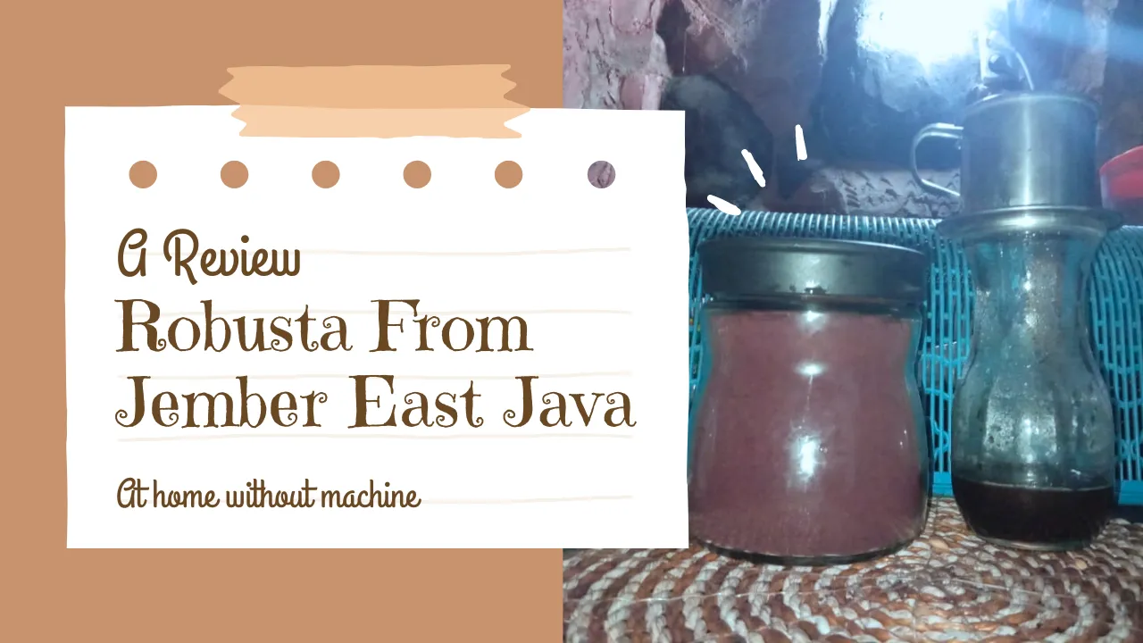 Robusta From Jember East Java.png