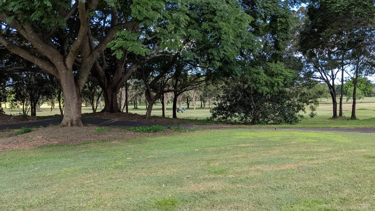 PXL_20220319_051353654.jpg