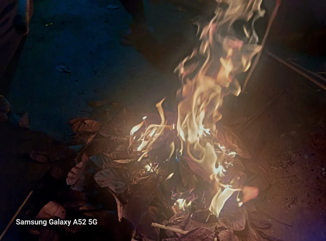Screenshot_20230102_232152_Gallery.jpg