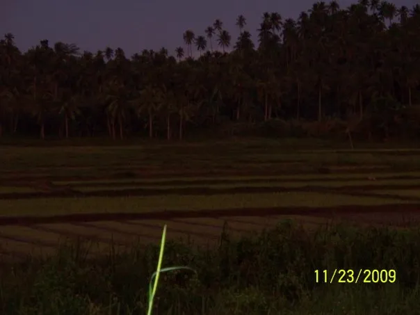 Pics of land 2.jpg