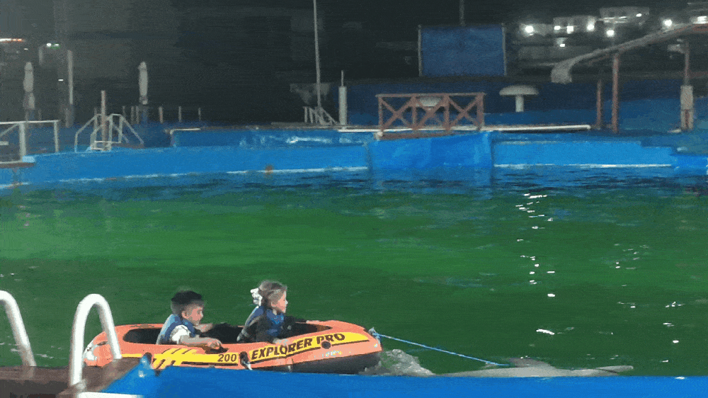 GIF-250530_153117.gif