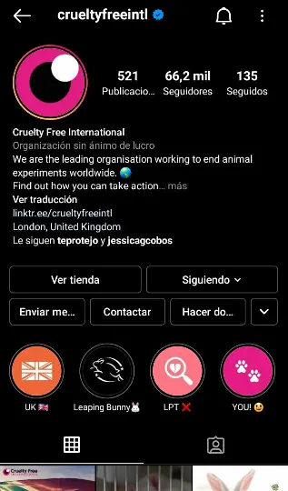 animales1.png