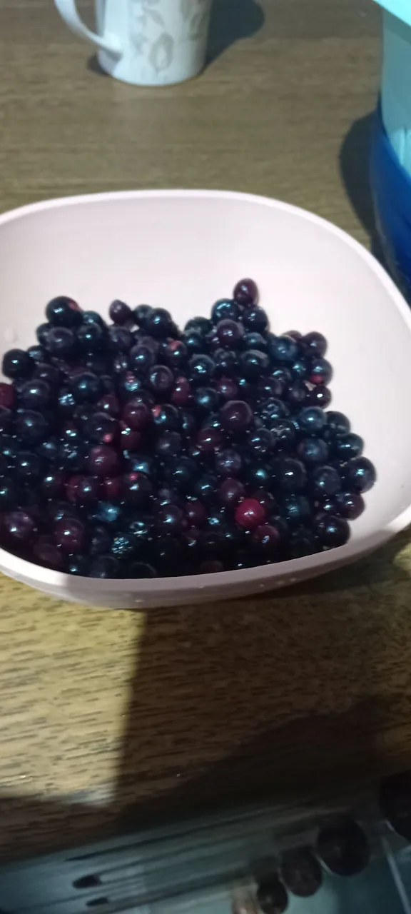 20250715_171642.jpg