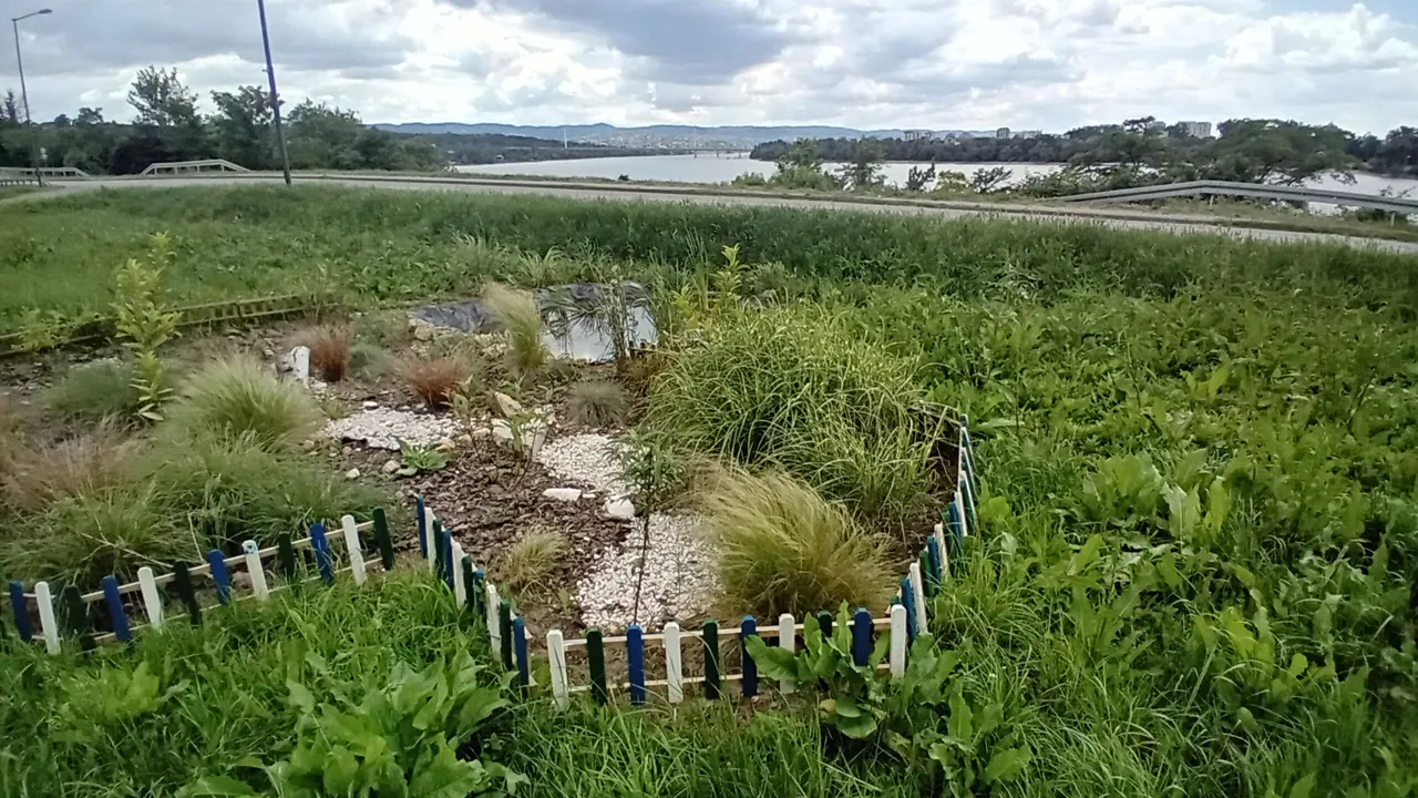 20250525_134954.jpg
