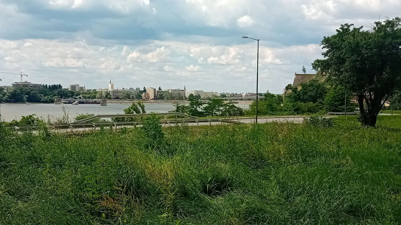 20250525_135333.jpg