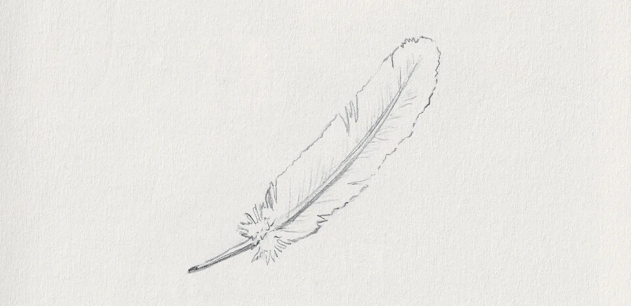 31-2 white feather.png