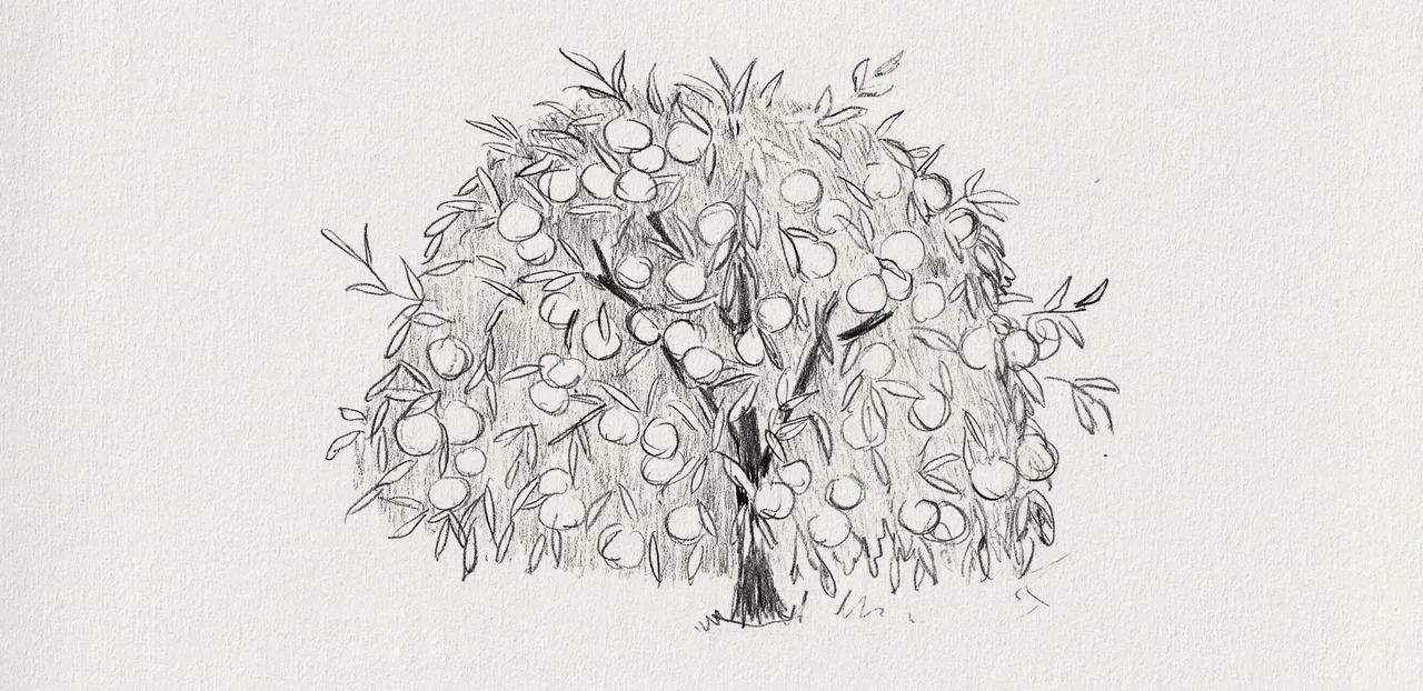 54-4 orange tree.png