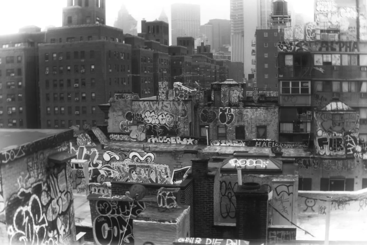 manhattan_bridge_roofs (Case Conflict).jpg