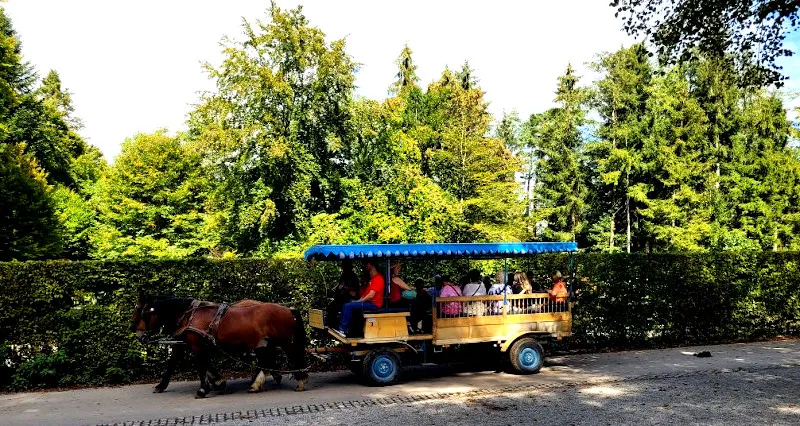 kutsche.jpg