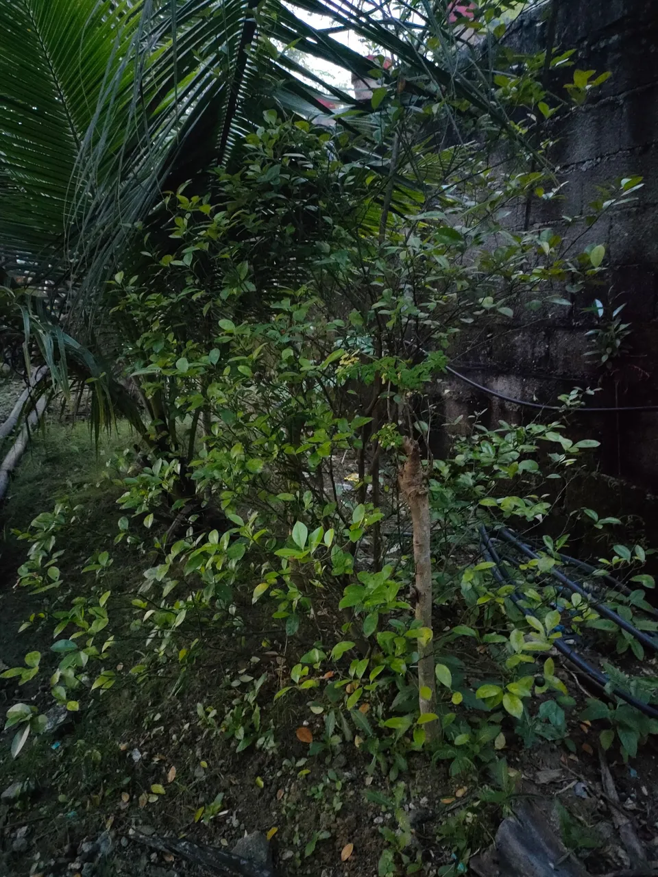 IMG20211123171623.jpg