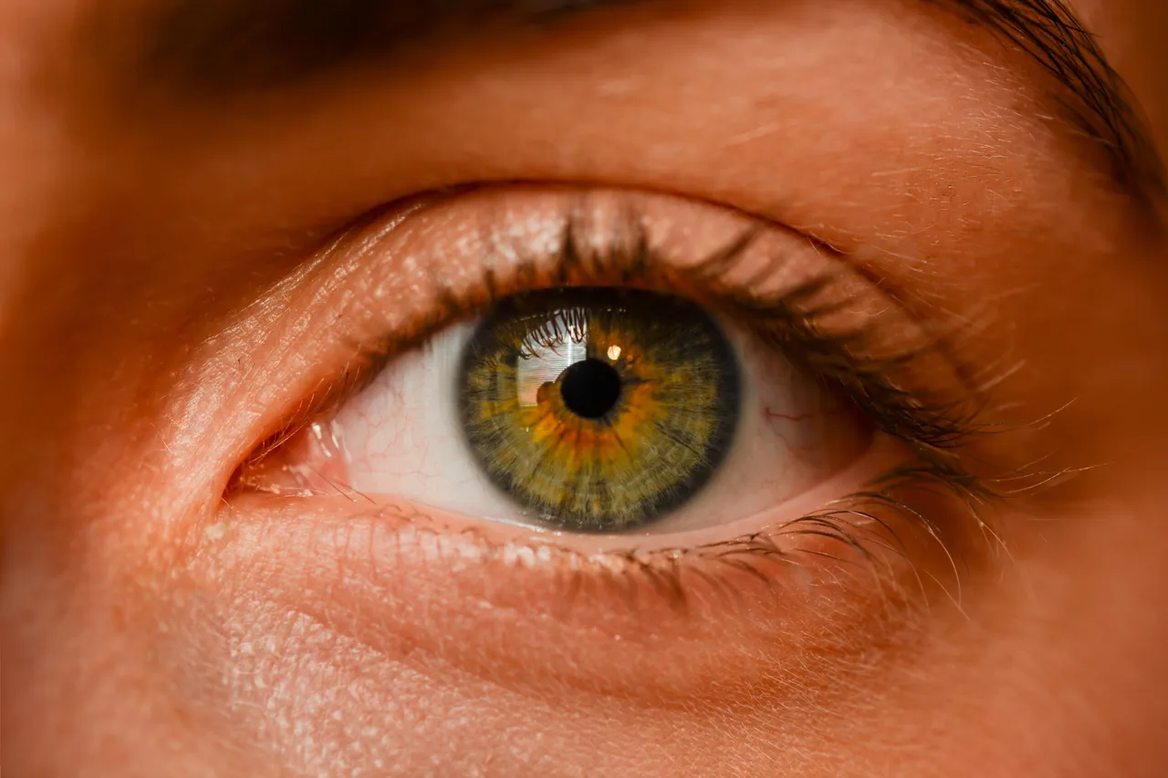 eye-2681783.jpg