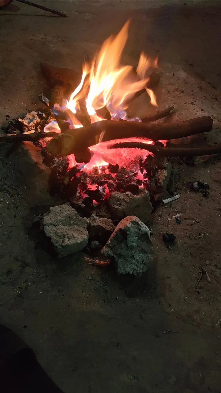 IMG20240629181510.jpg