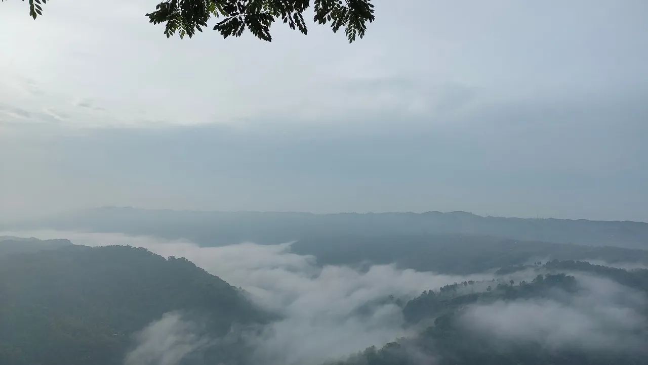 IMG20250202061818.jpg