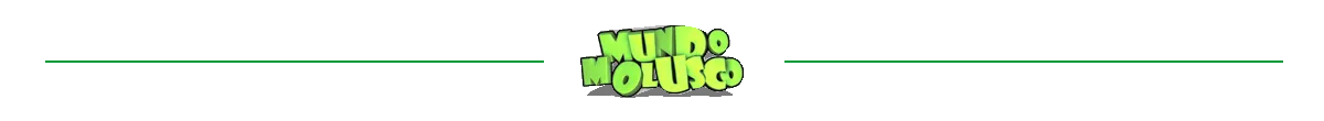 MUNDOMOLUSCODIVIDER.png