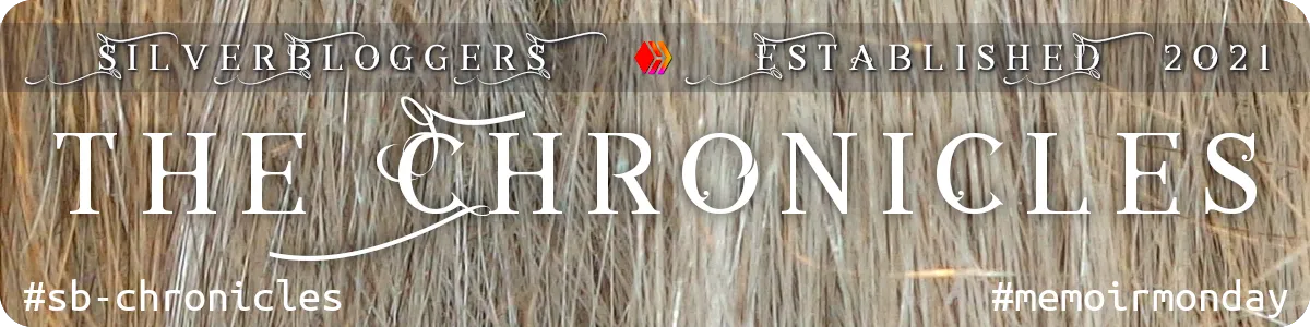 SB_Chronicles_Banner.png