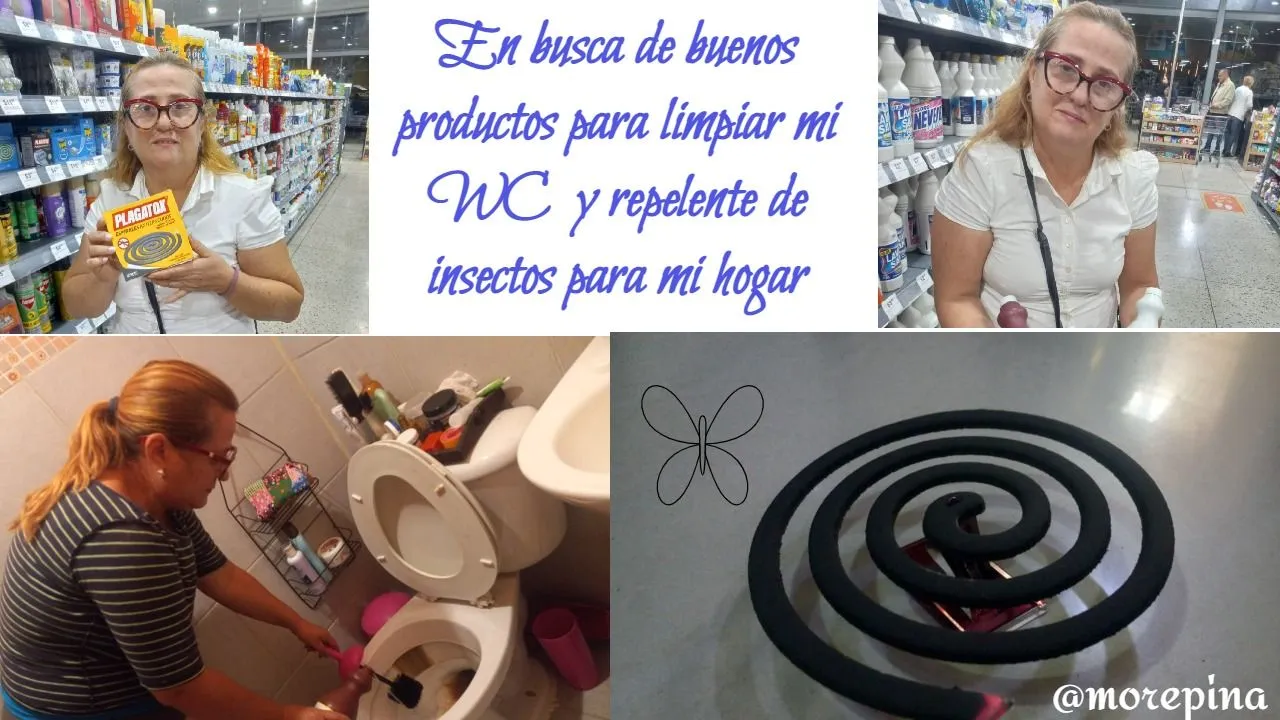 en-busca-de-buenos-productos-para.jpeg