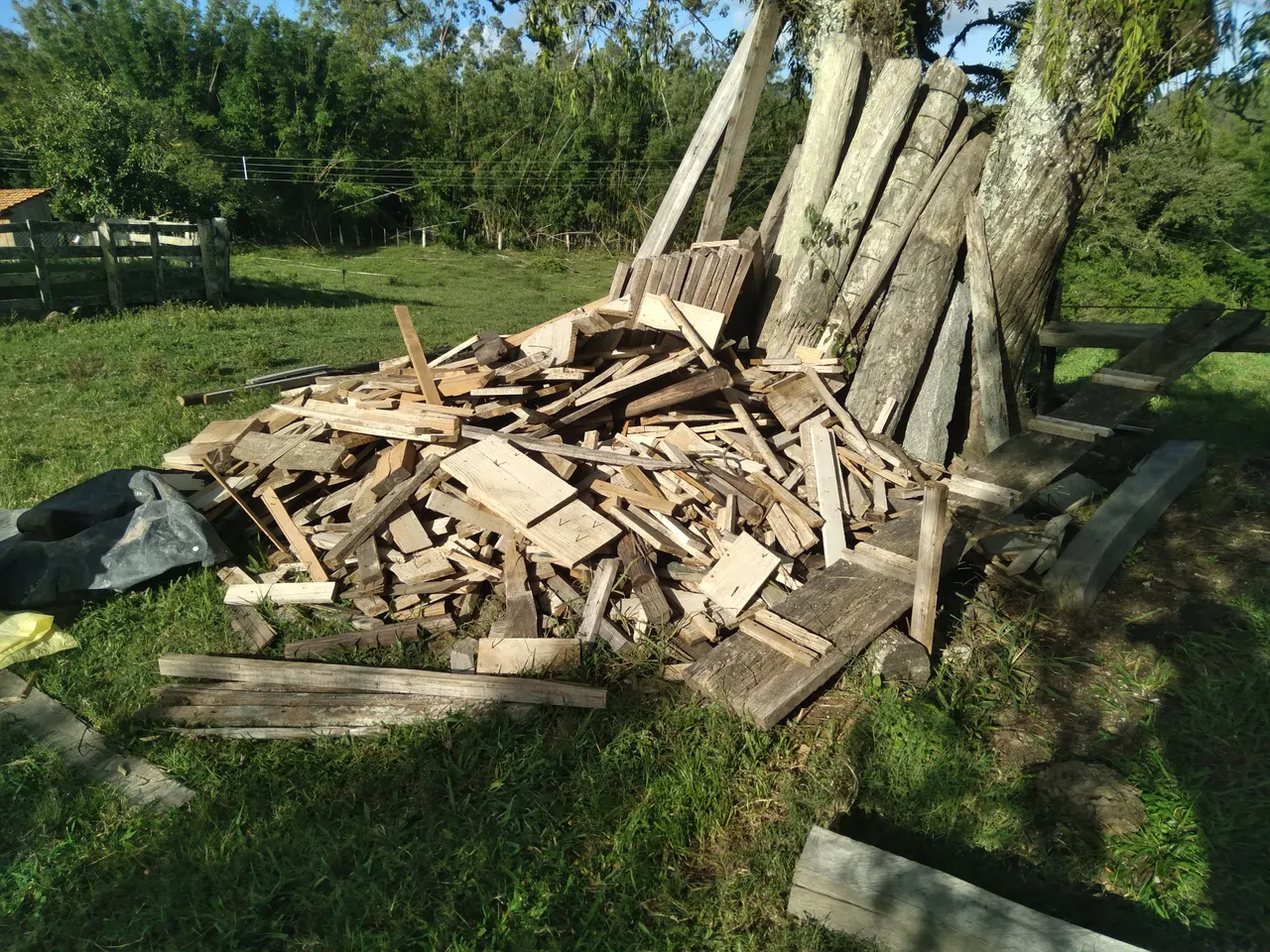 20230401_161550.jpg