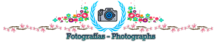 fotografias.png