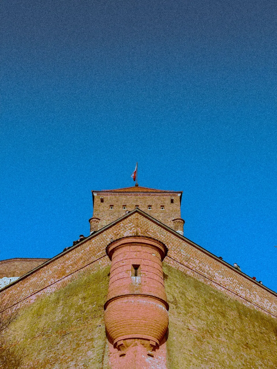 IMG_4556.JPG