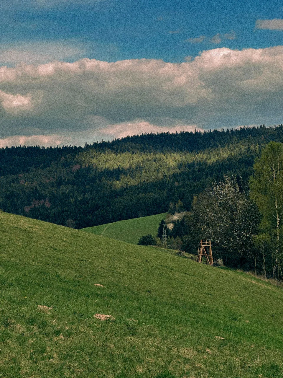 IMG_5334.JPG