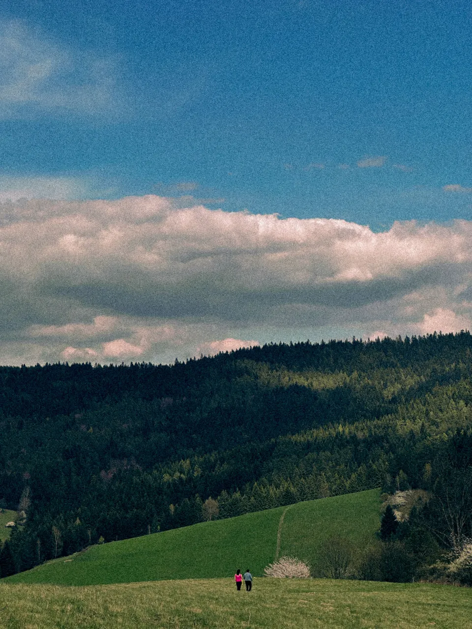 IMG_5342.JPG