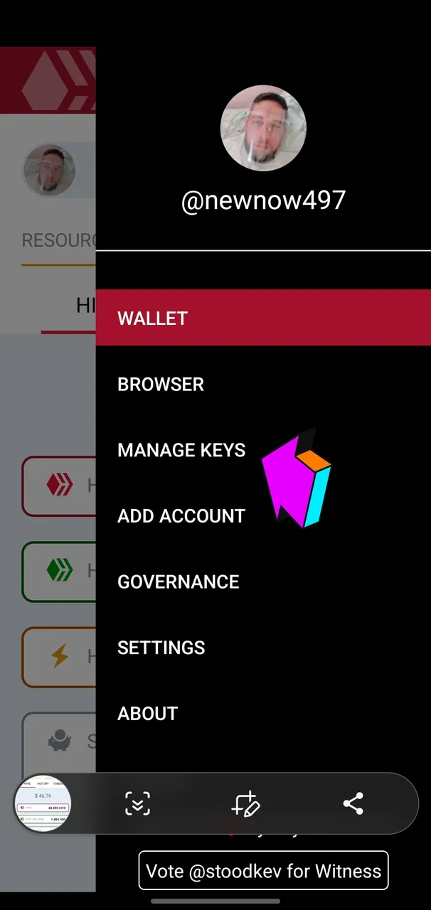 Screenshot_20221109-091754_Hive Keychain-beta.jpg