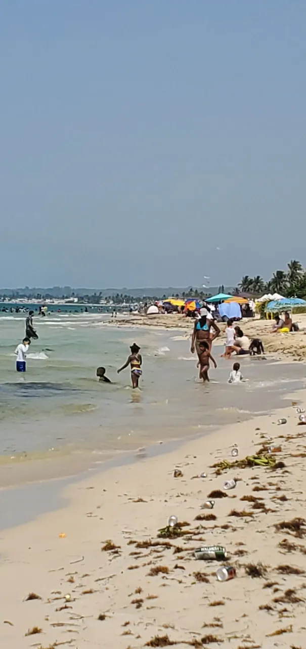 20230723_155020.jpg