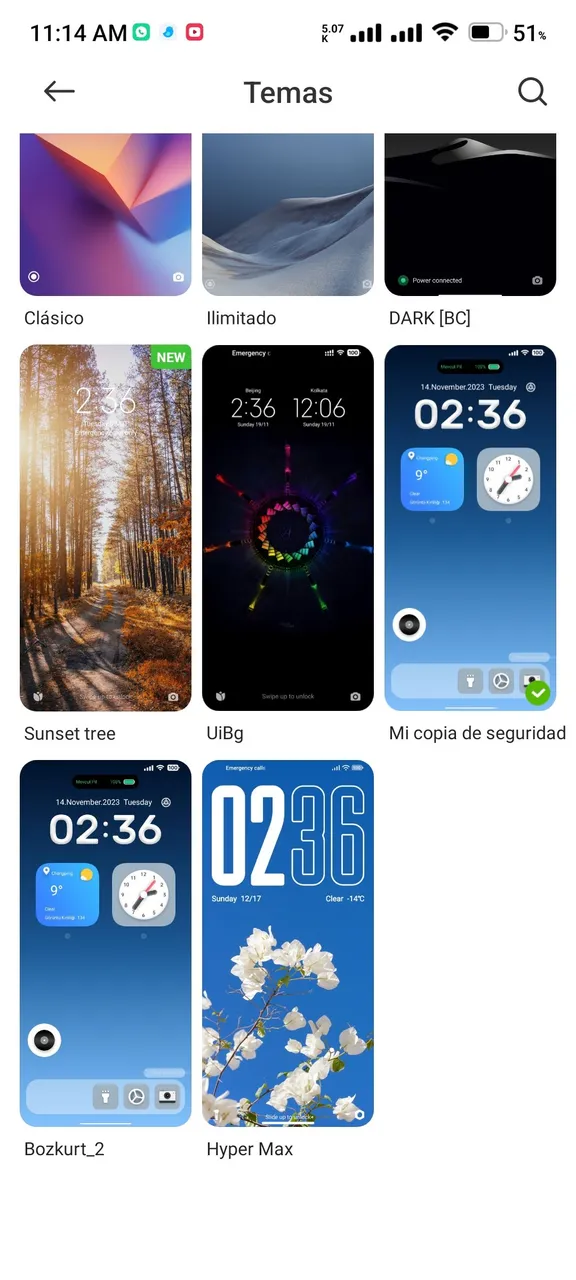 Screenshot_2024-01-16-11-14-30-131_com.android.thememanager.jpg
