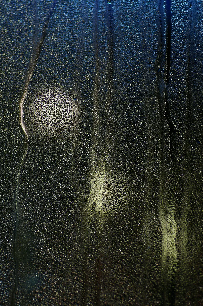 08.JPG