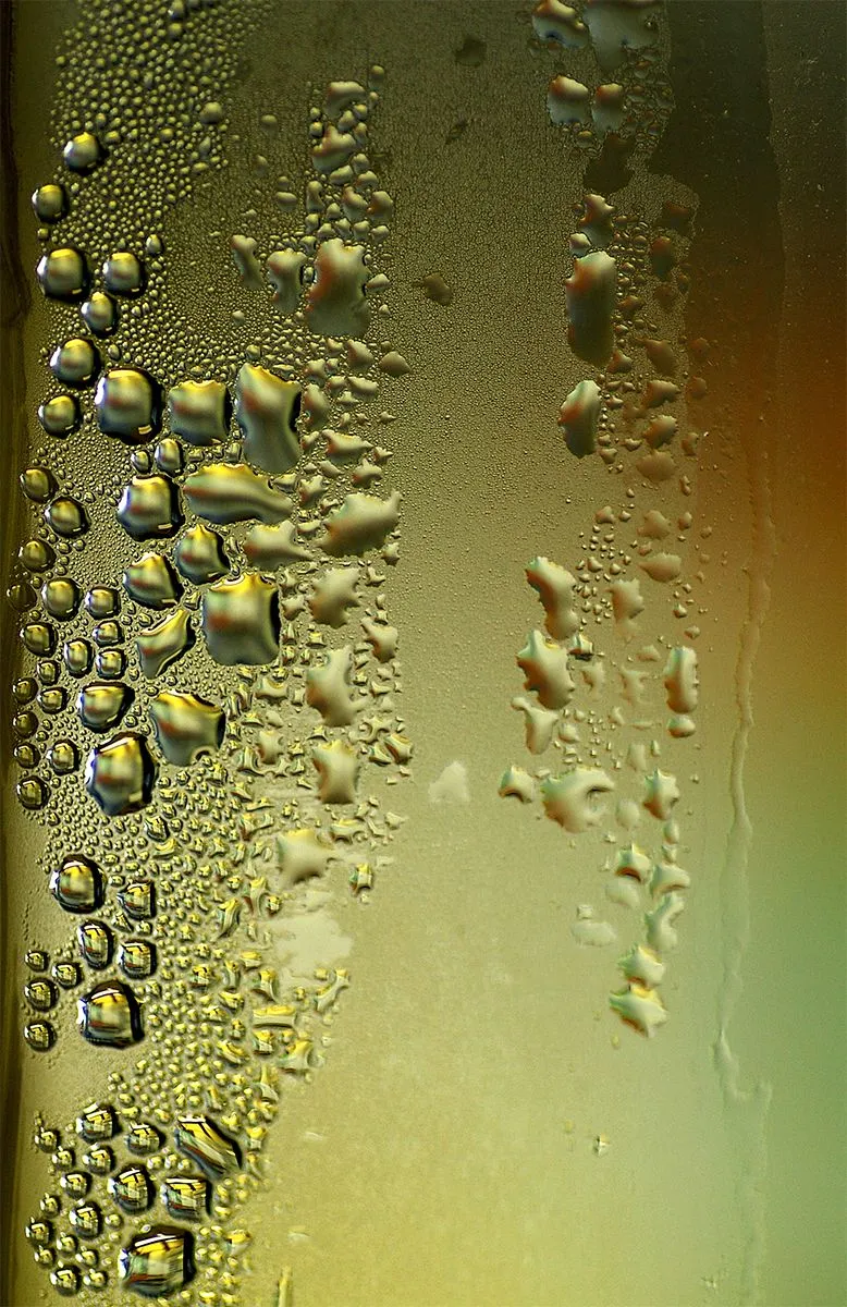 20.JPG