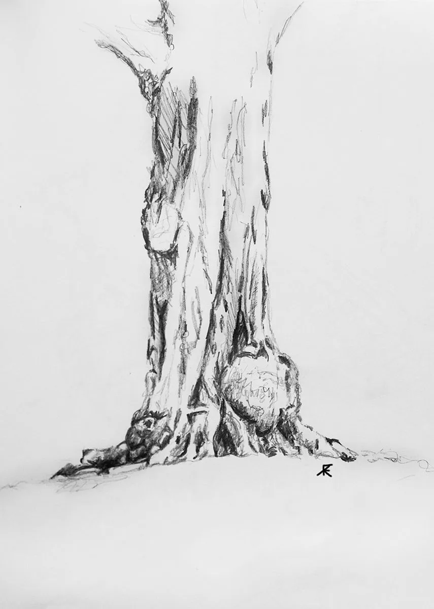 12_TREE IV.JPG