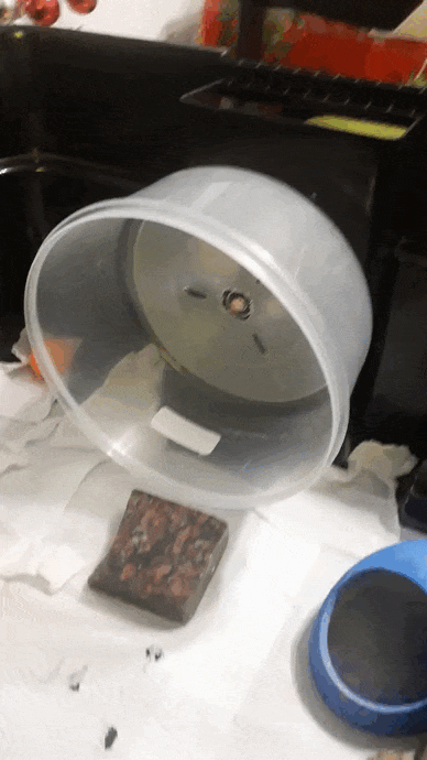 20221214_183741.gif