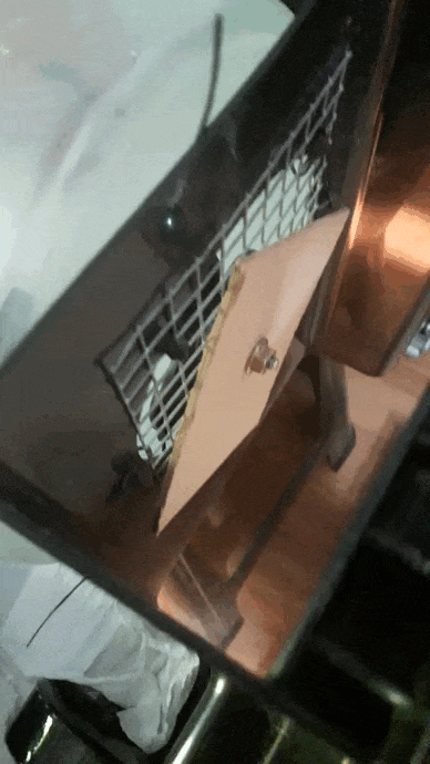 20221214_183130.gif