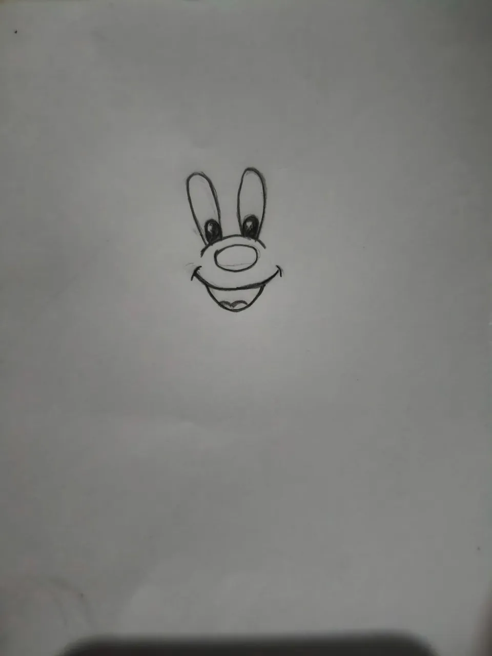 1000260533.jpg