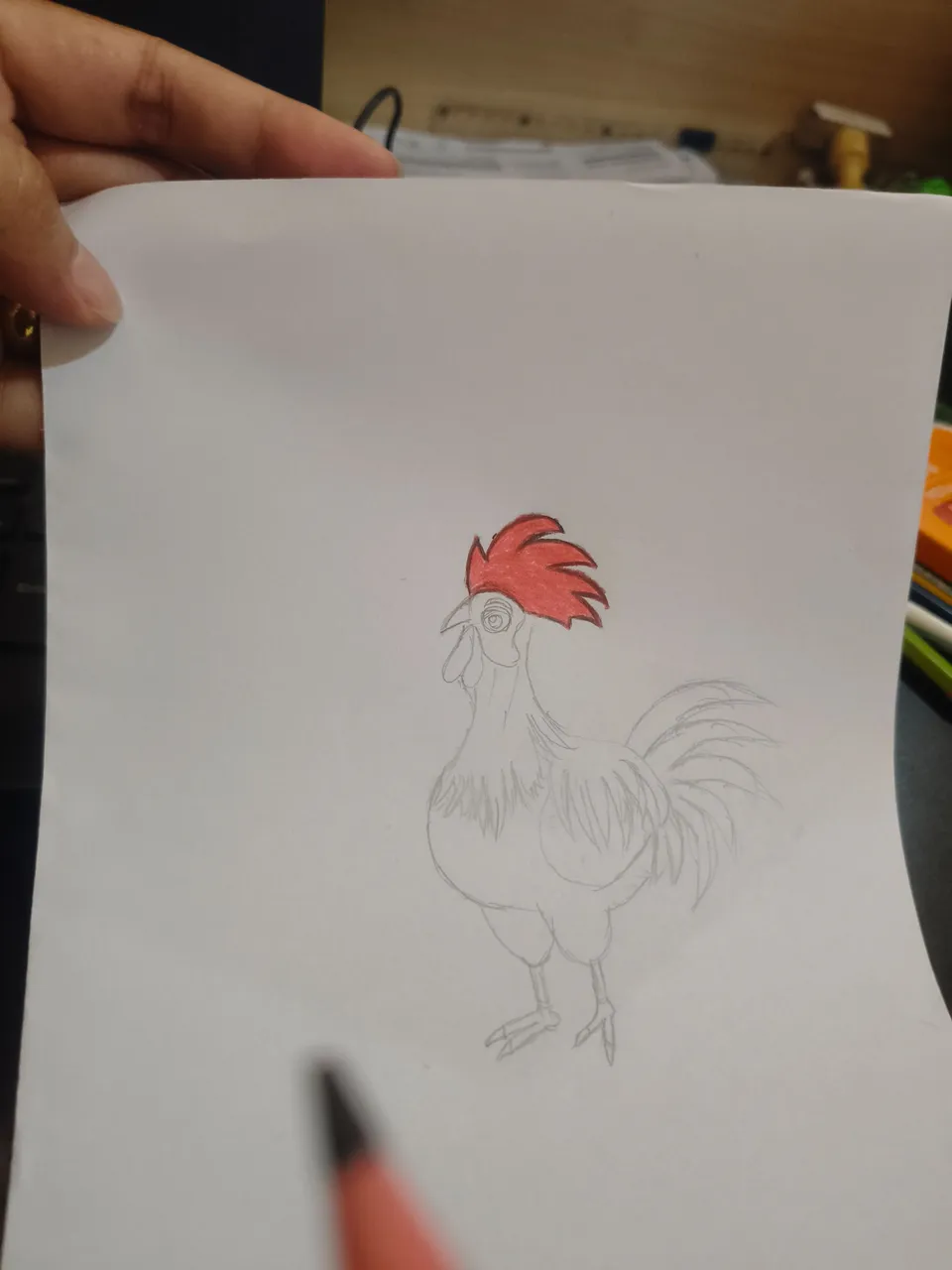 1000238364.jpg