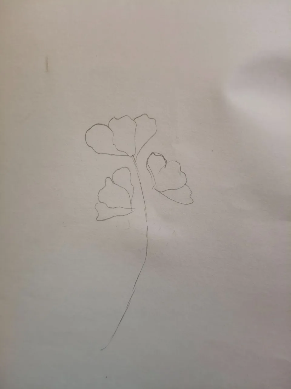 1000246200.jpg